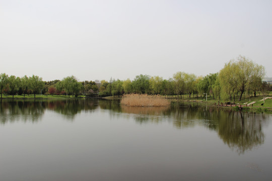 中国药科大学药用植物园