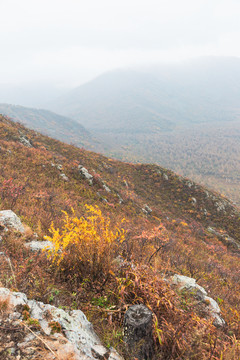 秋季山野清晨浓雾