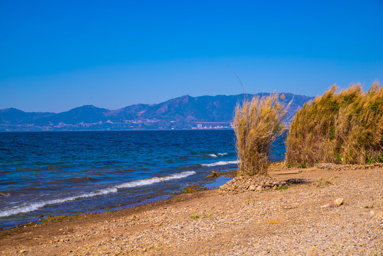 高原湖岸