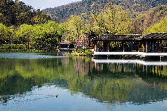 杭州西湖浴鹄湾