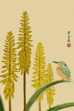 蘆薈花開節(jié)節(jié)高