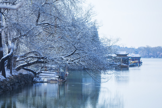 春雪