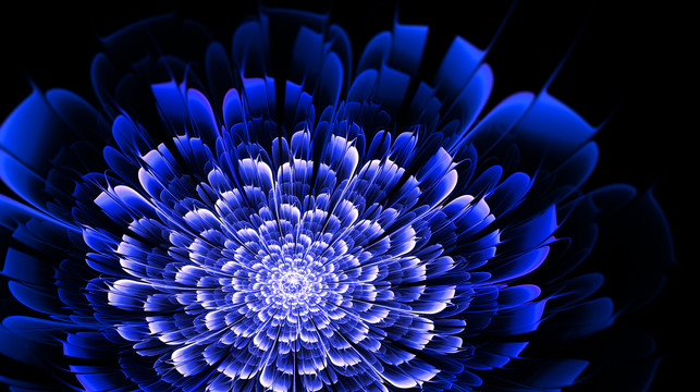 藍色花