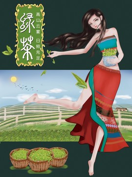云南綠茶插畫(huà)