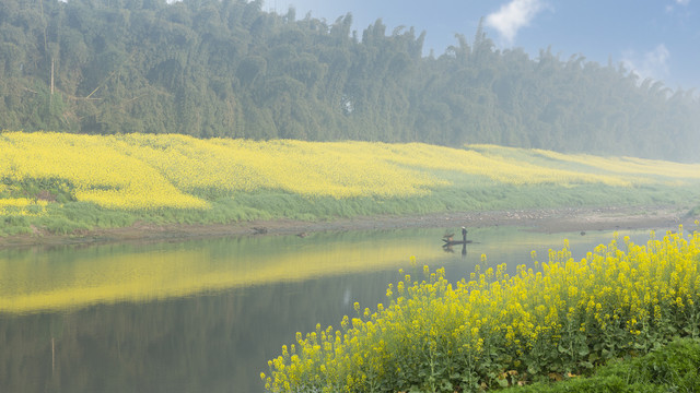 油菜花河流小船田园风光