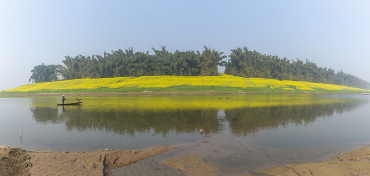 油菜花河流小船田园风光