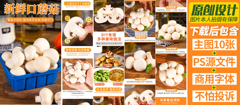 口蘑詳情頁白蘑菇詳情