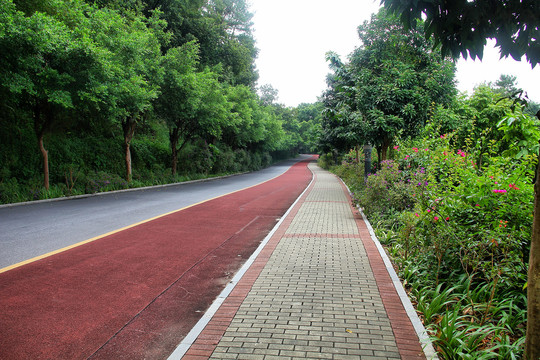 青秀山公园健身步道