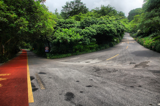 青秀山公园徒步道