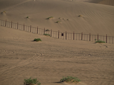 沙漠风光