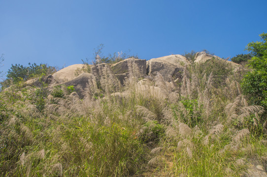 五塔岩山岭草木石