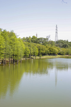 碧水蓝天