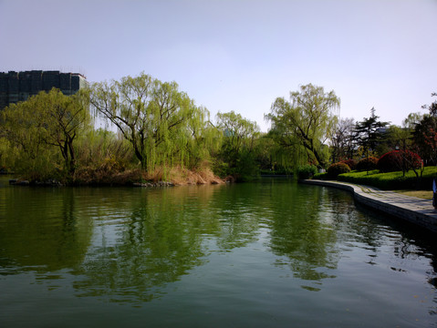 大明湖风景