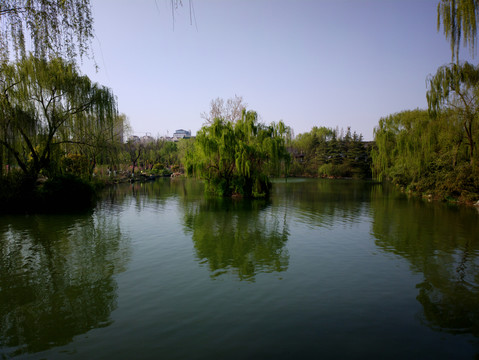 大明湖风景