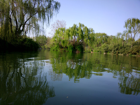 大明湖风景