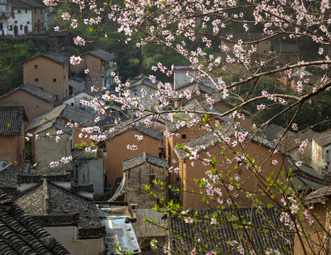 陽產土樓
