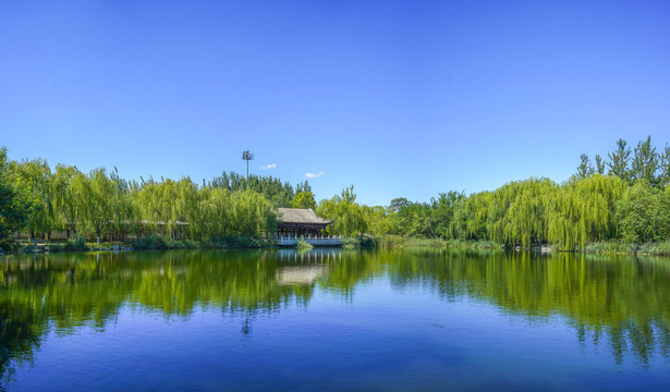 天津宁园中式园林湖景全景