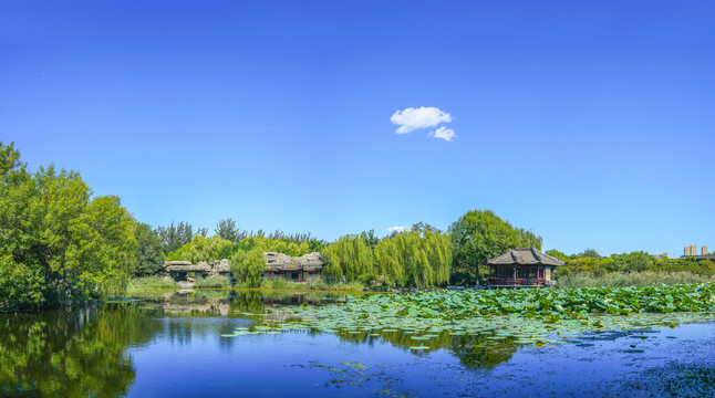 中式园林湖景湖泊池塘全景