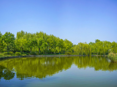 天津河岸风光河道景观