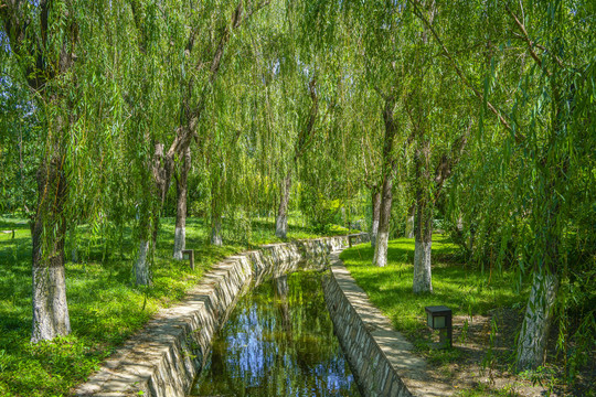 绿树林小河景观园林水景引水渠