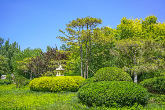 日式园林景观设计园艺造型