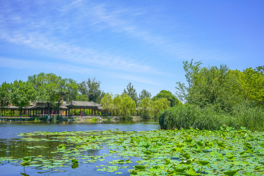 天津北宁公园古典园林湖景水景