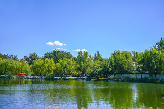 园林湖景湖泊风光园林水景