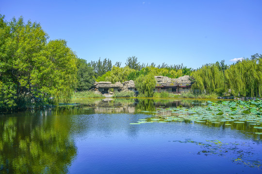 天津北宁公园中式园林湖景