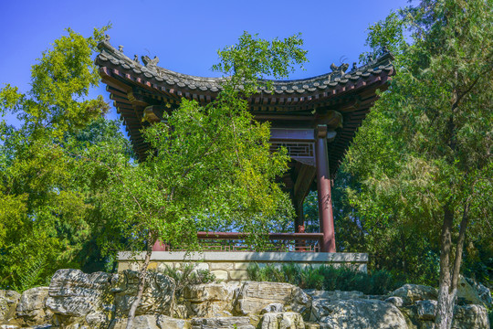 中式凉亭园林景观设计假山凉亭
