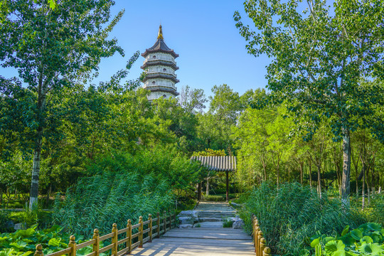 中式园林景观木桥古典园林
