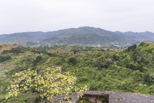 山野