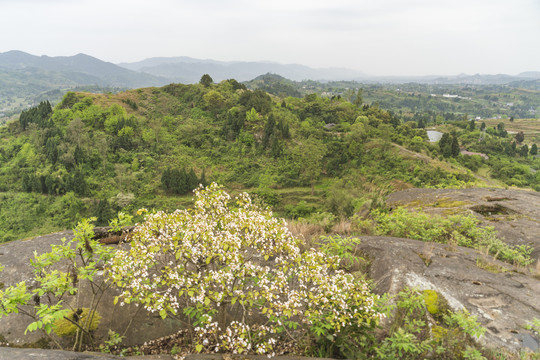 山野