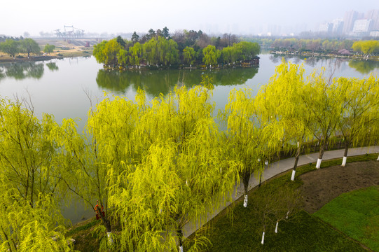 大明宫春景