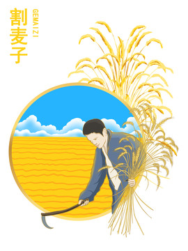 割麥子