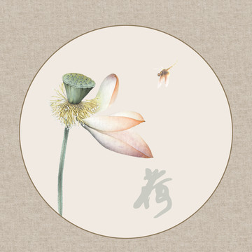 手繪荷花