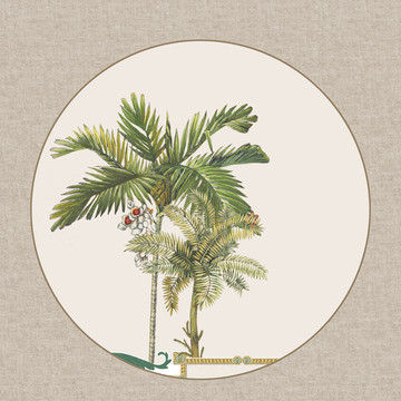 手绘棕榈树装饰画