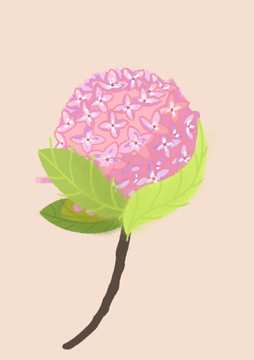 繡球