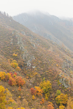 秋季清晨山峦秋景