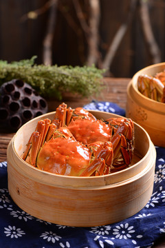 陽(yáng)澄湖大閘蟹熟螃蟹
