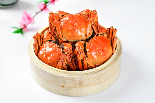 陽(yáng)澄湖大閘蟹熟螃蟹