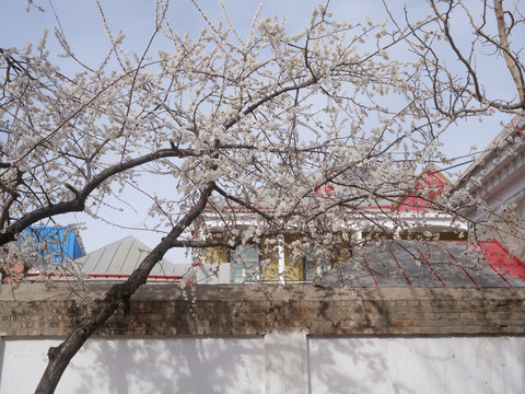 伊宁民居