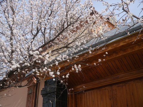 伊宁民居