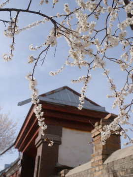 伊宁民居