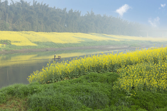 蓝天油菜花河流小船