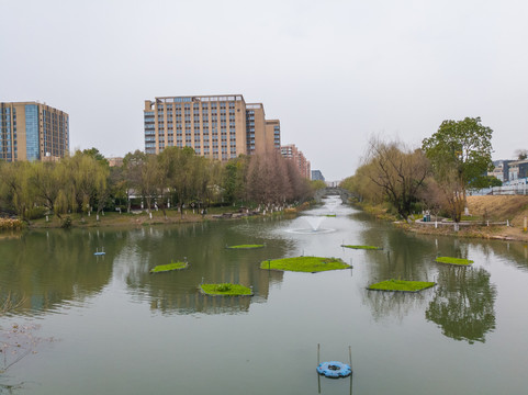 五水共治生态浮岛