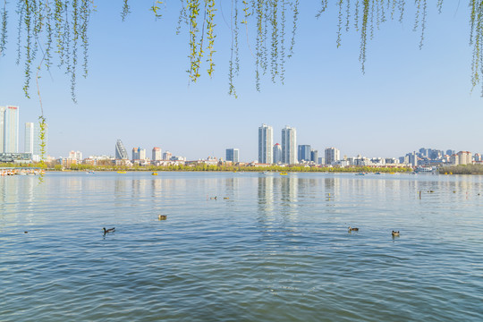 天津市水上公园湖面天际线