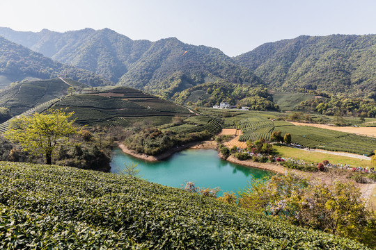 杭州龙坞茶园