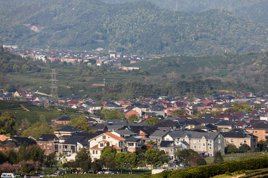 杭州龙坞茶园