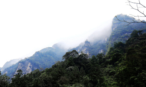 重庆黑山谷