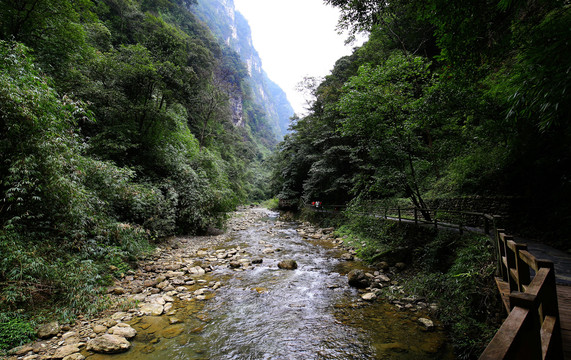 重庆黑山谷